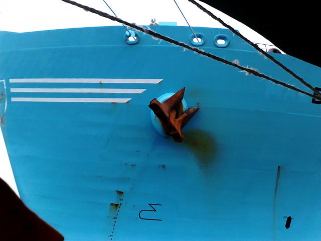 foto7